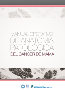 Manual operativo de anatomía patológica del cáncer de mama