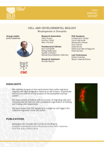 2013 ANNUAL REPORT CELL AND DEVELOPMENTAL BIOLOGY
