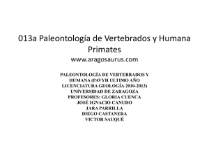 013a Paleontología de Vertebrados y Humana Primates