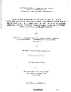 concentraciones de ethei`hon sobre la brotación