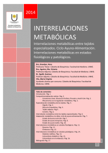 interrelaciones metabólicas