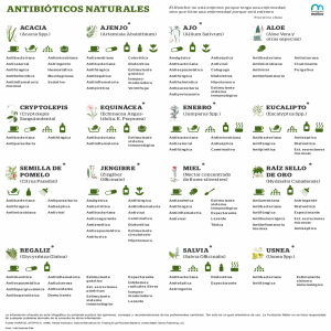 antibióticos naturales