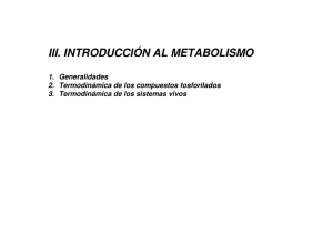 III. INTRODUCCIÓN AL METABOLISMO