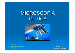 Microscopía óptica de luz polarizada