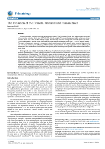 The Evolution of the Primate, Hominid and Human Brain