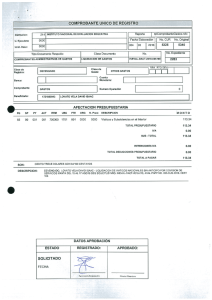 Page 1 COMPROBANTE UNICO DE REGISTRO Tipo Documento