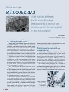 MITOCONDRIAS - Expedición Ciencia