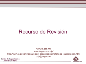 Recurso de Revisi&oacute;n - Tribunal Electoral del Poder Judicial de la