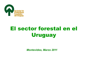 Sector Forestal Uruguayo marzo 2011