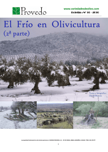 10. El Frio en olivicultura (2).