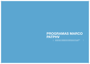 PROGRAMAS MARCO PATPHV