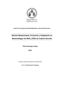 Efectos Mutacionales, Evolución y Adaptación en