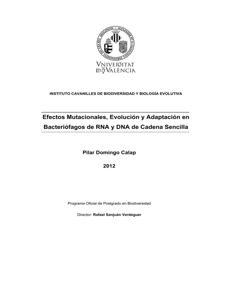 Efectos Mutacionales, Evolución Y Adaptación En