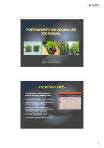 Presentacion Portainjertos clonales Chilenut 2014