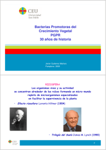 Microsoft PowerPoint - Javier Gutierrez MA\361ero Pamplona 08.ppt