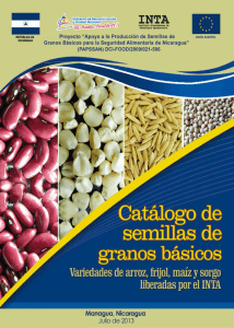 Descargar PDF. - Observatorio regional de las cadenas de maiz y frijol