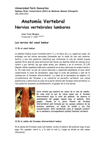 anatomia-diu-2011-nervios-lumbares