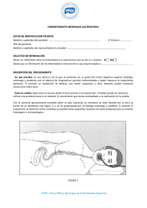 consentimiento gastroscopia - CMED Centro Medico Quirurgico de