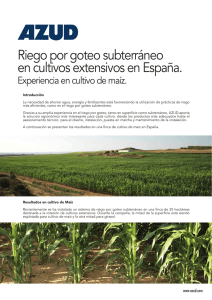Riego por goteo subterráneo en cultivos extensivos en España.