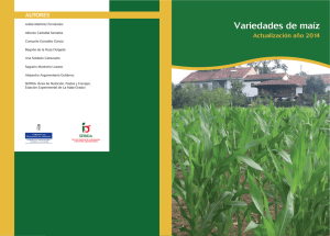 Variedades de maíz - Servicio Regional de Investigación y