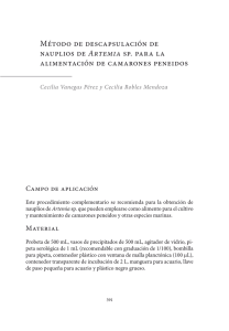 Método de descapsulación de nauplios de Artemia sp. para la