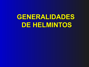 GENERALIDADES DE HELMINTOS