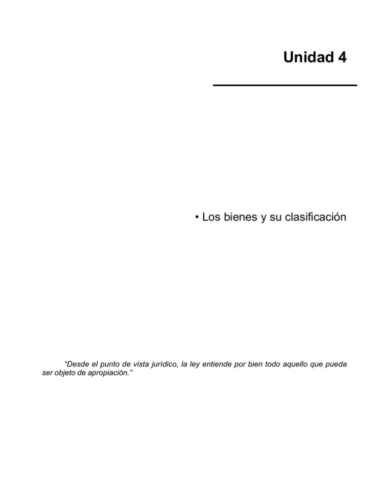 Concepto Jurídico Y Económico De Los Bienes Y Criterios De Clasificación