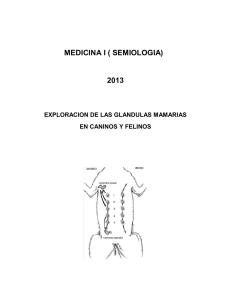 MEDICINA I ( SEMIOLOGIA) 2013