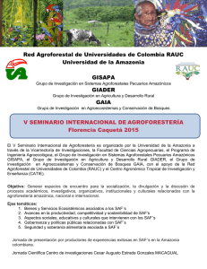 Primer llamado V Seminario Internacional Agroforesteria