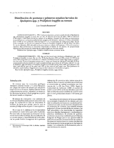 Distribución de posturas y primeros estadios larvales de