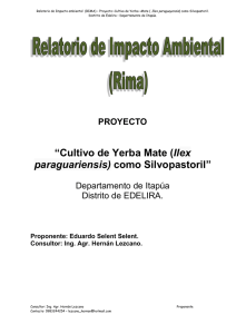 Cultivo de Yerba Mate (EX Paraguayensis)