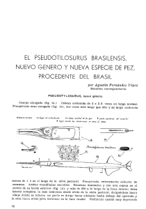 el. pseudótilosurus brasilensis. nuevo genero y nueva especie de