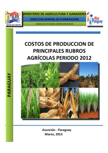 Costos de Producción Rubros Agrícolas Período 2012