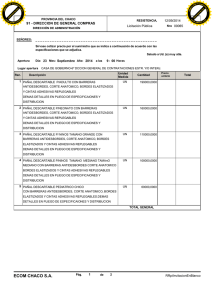 Modelo de Oferta Econonomica Lic Pca Nº 65