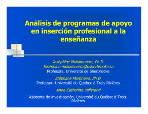 Análisis de programas de apoyo en inserción profesional