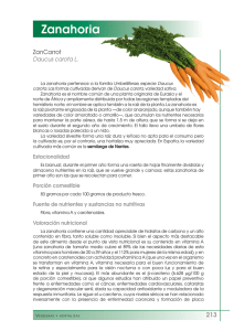 Zanahoria - FEN. Fundación Española de la Nutrición