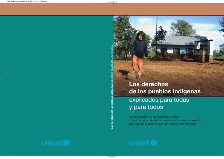 Los Derechos De Los Pueblos Indígenas Explicados Para Todas