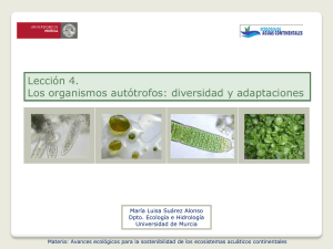 Diapositiva 1 - OCW - Universidad de Murcia