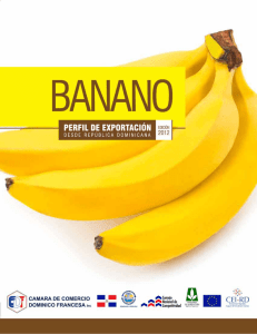 Perfil de Exportación hacia Francia – Banano