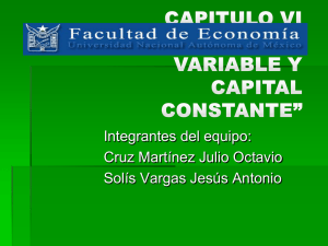 Capitulo 6: Capital Constante y Capital Fijo.