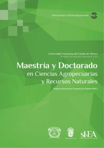 Maestría y Doctorado - Universidad Autónoma del Estado de México