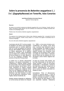 Sobre la presencia de Balanites aegyptiaca (L.) Del