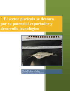 2.El sector piscícola se destaca por su potencial exportador y