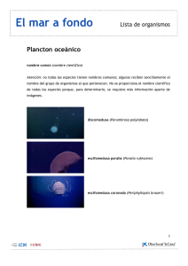 lista organismos plancton oceánico