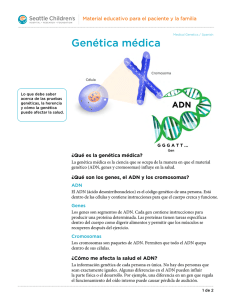 PE2386S Medical Genetics - Spanish