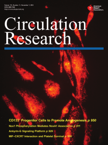 CD133+ Progenitor Cells to Promote Angiogenesis p 950