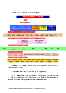 2009-06-Tema 19 JUSTICIA ELECTORAL