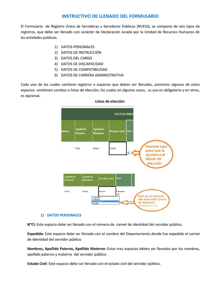 INSTRUCTIVO DE LLENADO DEL FORMULARIO