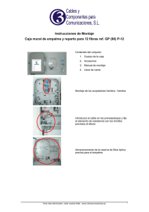 Instrucciones de montaje de la Caja mural GP06P12