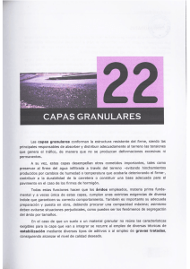 Capítulo 22. Capas granulares